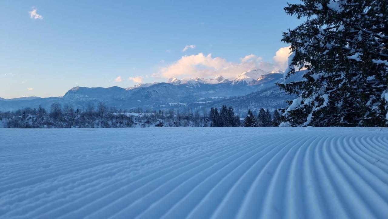 Pod Koblo Bohinj Apartments Экстерьер фото